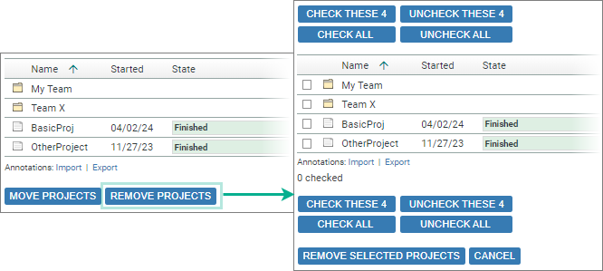 screenshot fragment: expansion after clicking Remove Projects