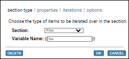 screenshot fragment: section type tab of section editing dialog