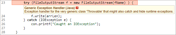 screenshot fragment: warning description box for Generic Exception Handler warning
